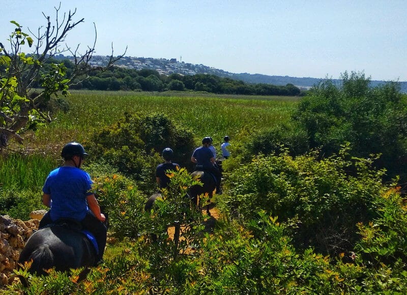 excursion à cheval sur le cami de cavalls à minorque