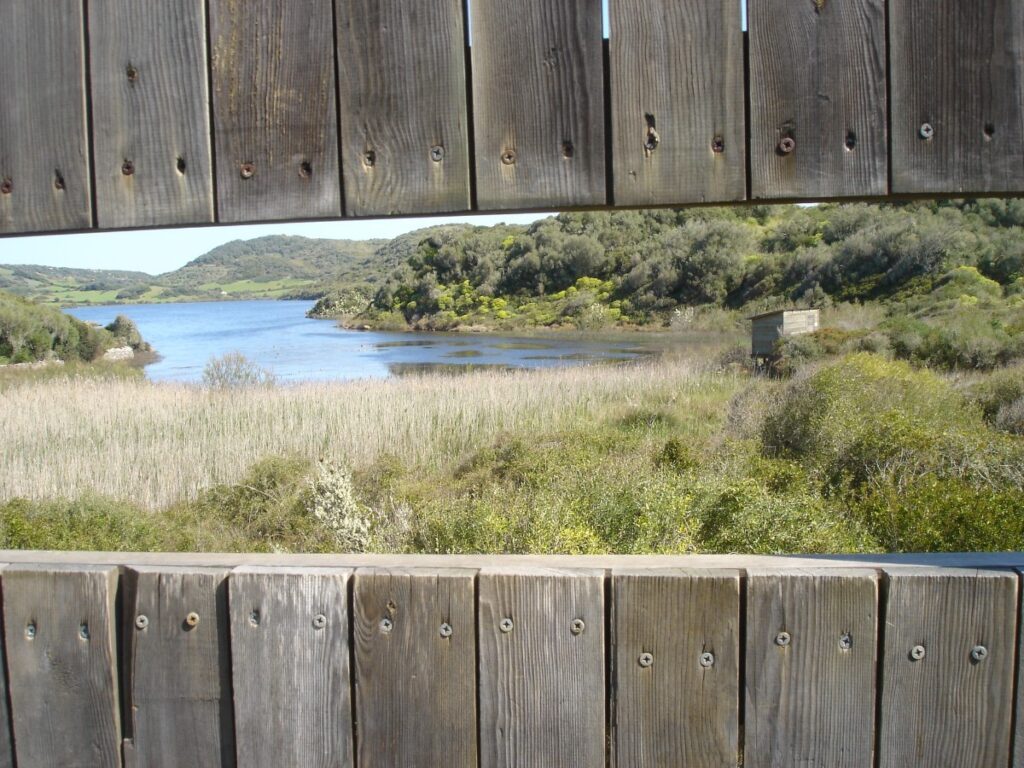 parc naturel Albufer d Es grau à Menorca