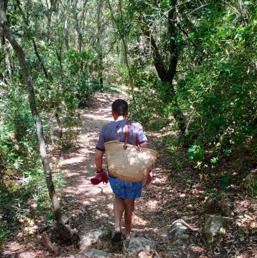 chemin forestier de Cala Rafalet à Menorca