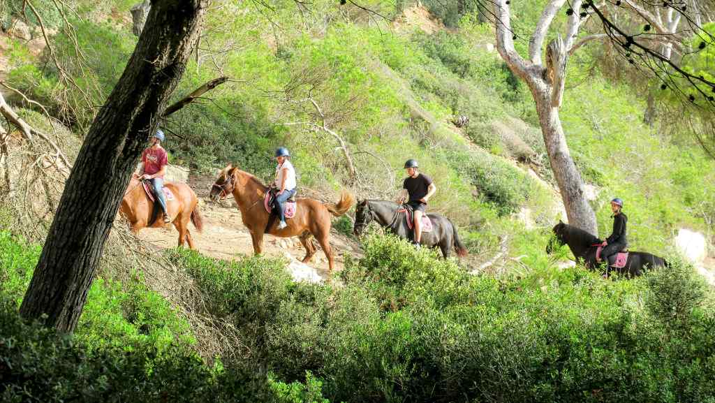 Excursion Cheval Minorque