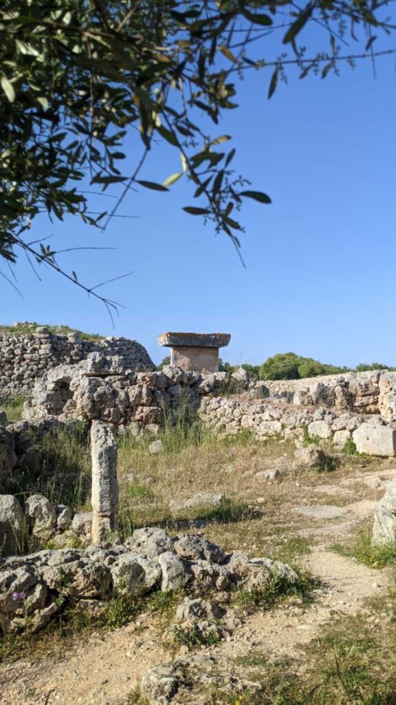 Vue De La Taula