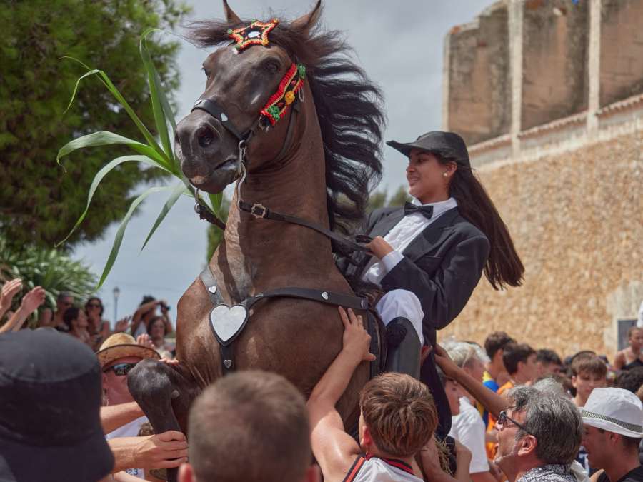 Chevaux Mahon