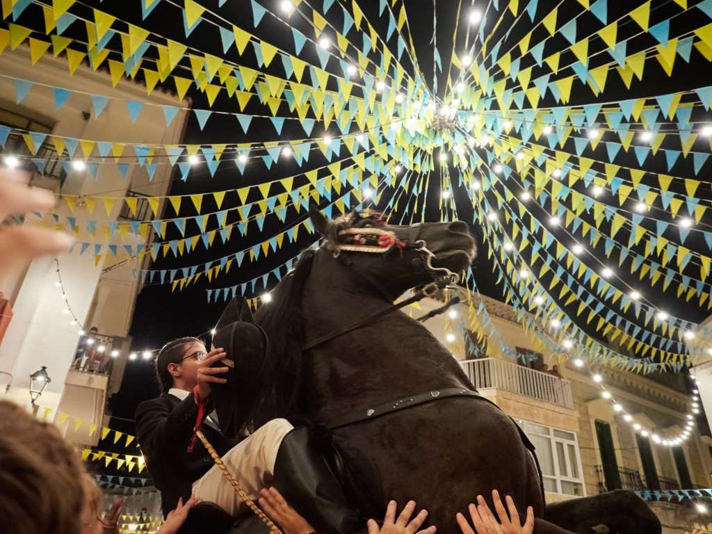 Chevaux Nuit